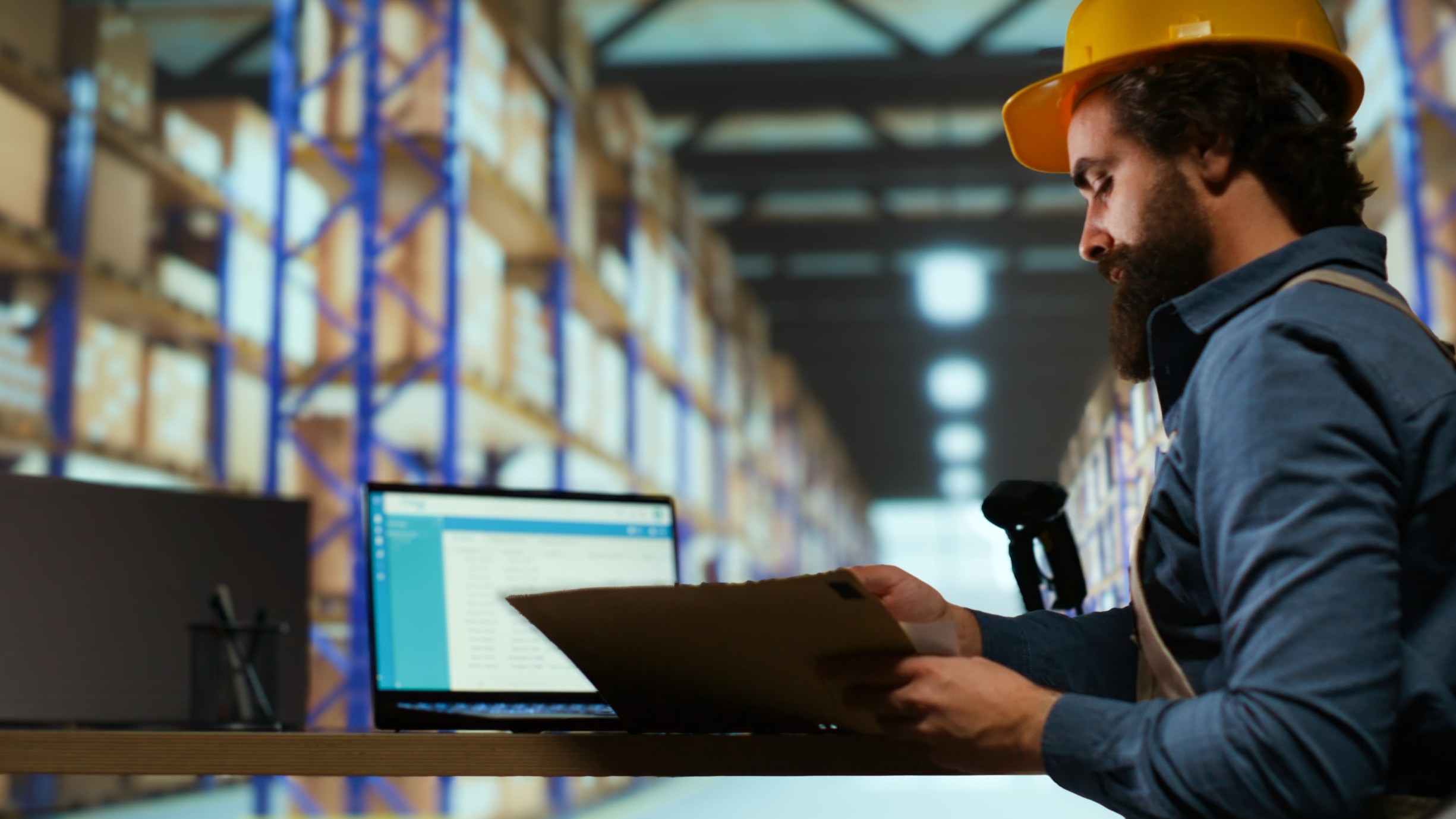 ERP or Standalone WMS