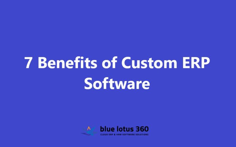 Custom ERP Software